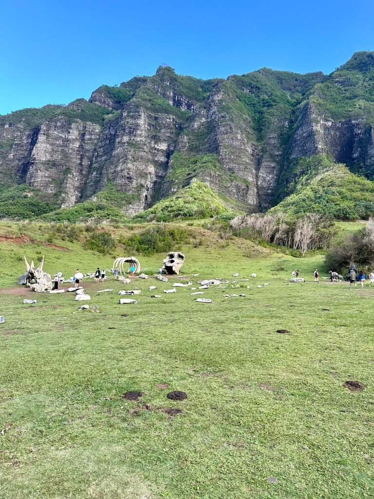Jurassic Valley at Kuala Ranch Tours where they filmed the movies Jurassic Parks.