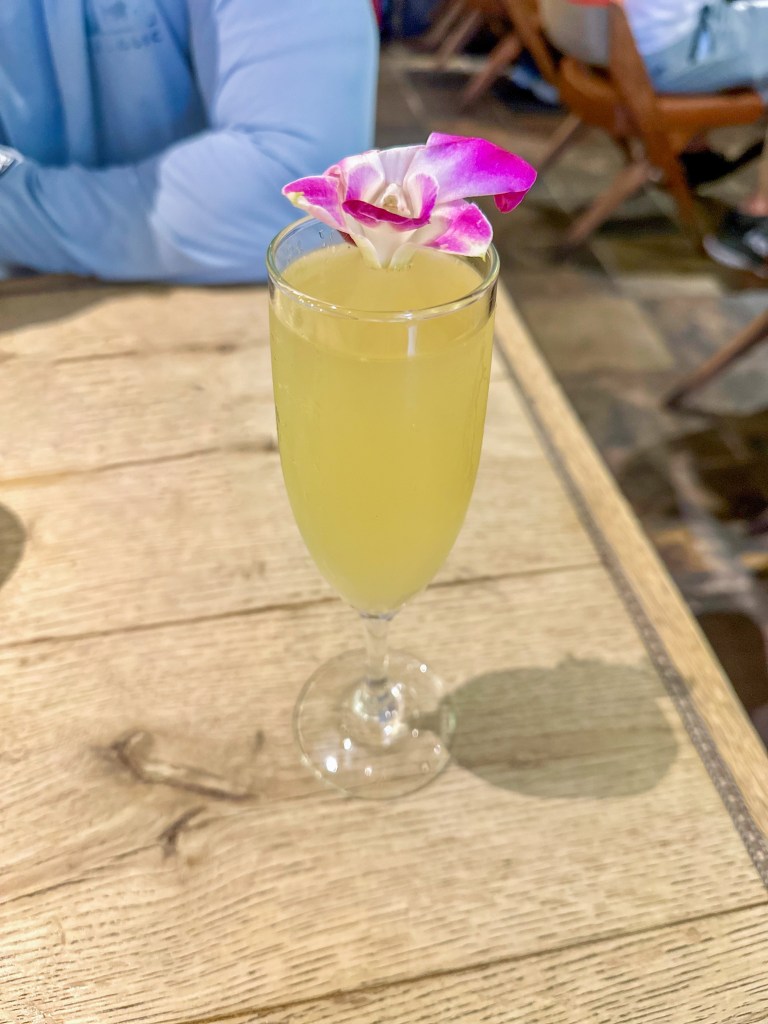 Pineapple mimosa in Oahu, Hawaii