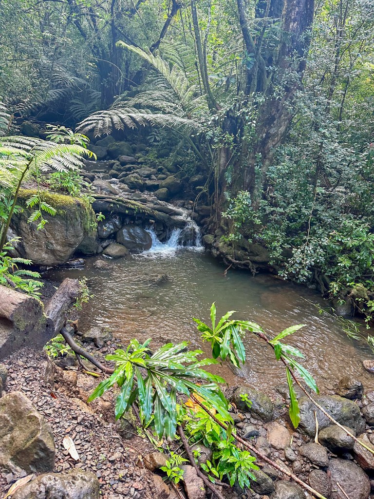 Moana Falls Trail, Oahu, Hawaii