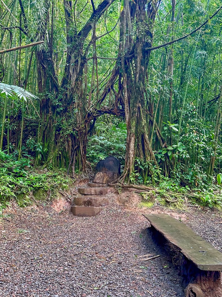 Moana Falls Trail, Oahu, Hawaii