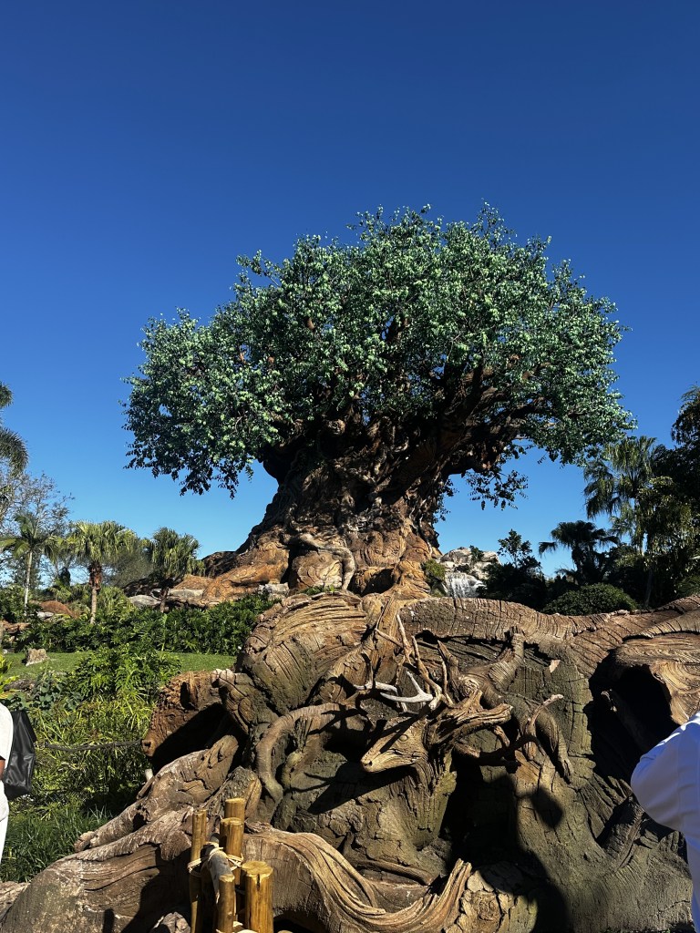 Tree of Life at Animal Kingdom, Walt Disney World