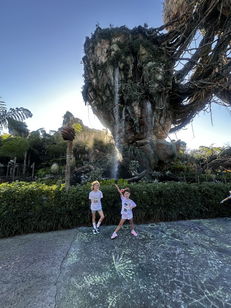 Pandora at Animal Kingdom, Walt Disney World