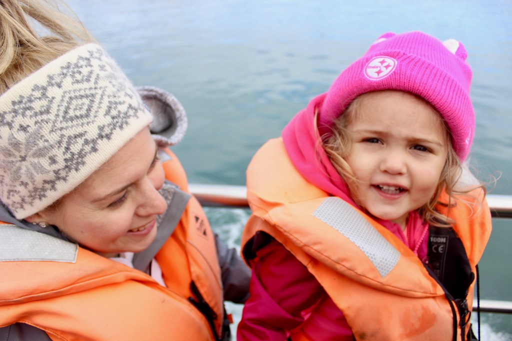 Jökulsárlón Glacier Boat Tour